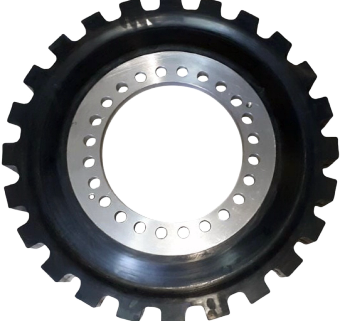 Acoplamiento de disco NV 666 G (AFM)